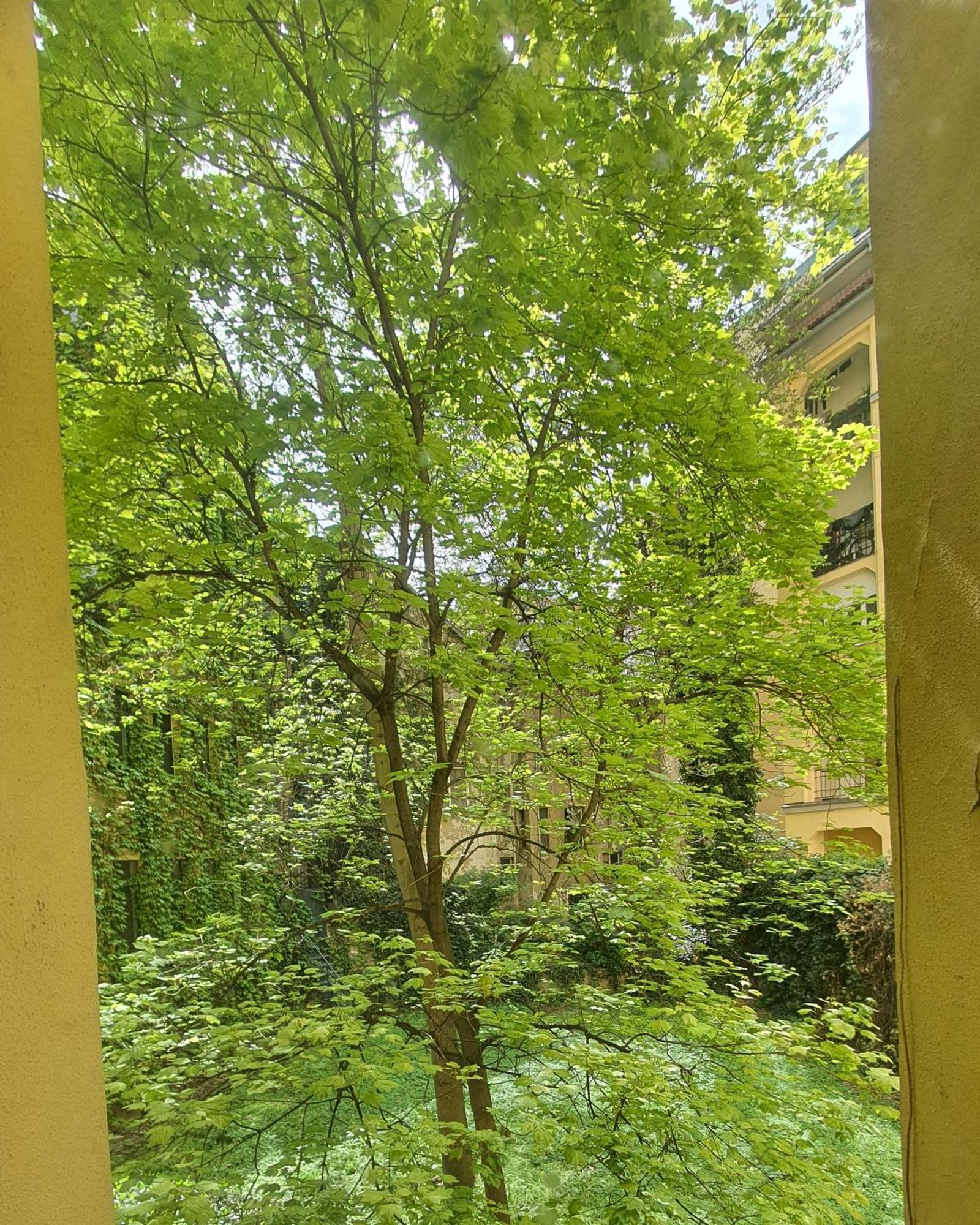 Apartamento Mlynske Nivy 6, Ba Bratislava Exterior foto